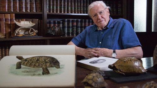 David Attenborough's Natural Curiosities Season 4 Episode 5 - Incredible Shells