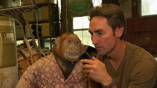 Background image for One Pony Town