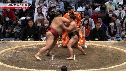 GRAND SUMO Highlights Season 16 Episode 7 - Day 7
