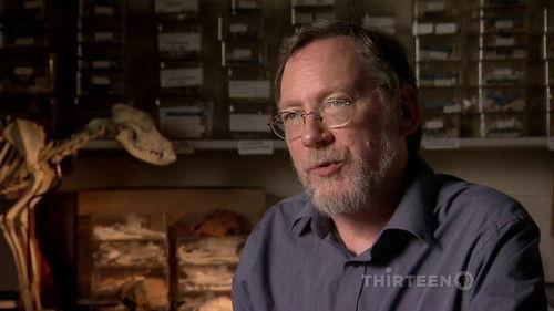 NOVA Season 38 Episode 4 - Dogs Decoded