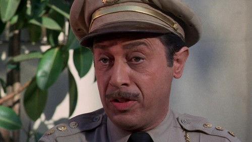 The Flying Nun Season 2 Episode 9 - It's an Ill Windfall