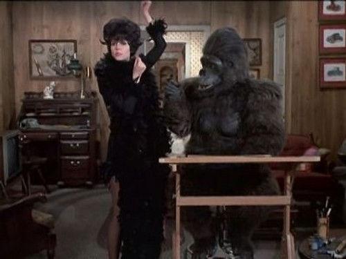 Bewitched Season 7 Episode 22 - Darrin Goes Ape