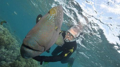 Griff's Great Australian Rail Trip Season 1 Episode 3 - Brisbane to Cairns Try Not Die