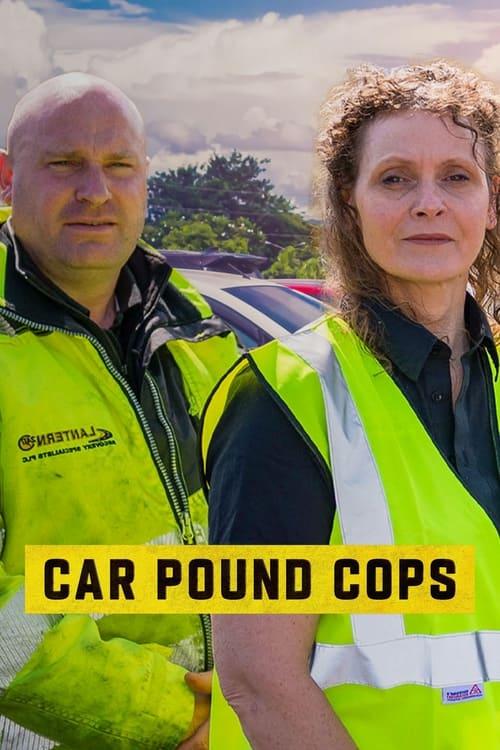 Car Pound Cops: Give Me My Car Back! poster