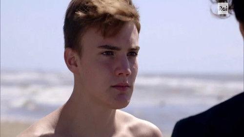 Background image for A day at the beach / One parrot is too many and two are too few