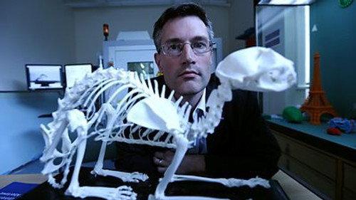 Horizon Season 52 Episode 10 - 70 Million Animal Mummies: Egypt's Dark Secret