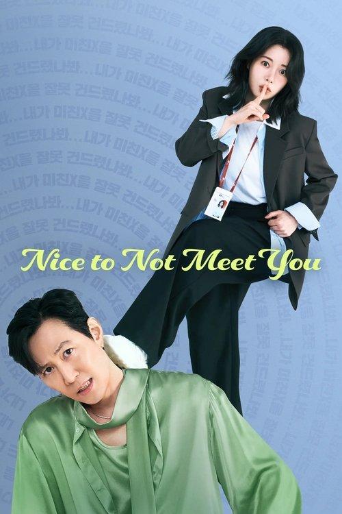 Nice to Not Meet You poster