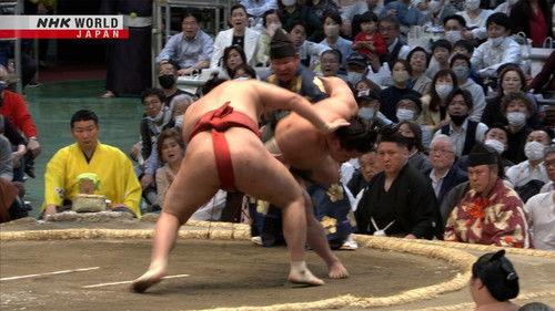GRAND SUMO Highlights Season 16 Episode 13 - Day 13