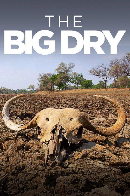The Big Dry poster