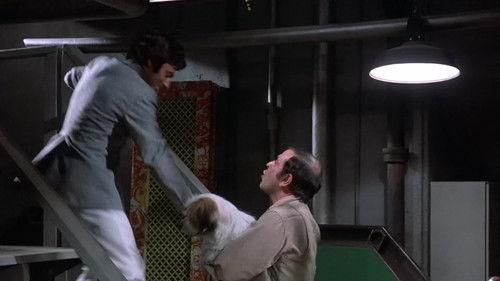 The Flying Nun Season 3 Episode 19 - AMan's Best Friend Isn't