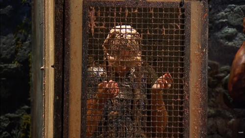 I'm a Celebrity...Get Me Out of Here! Season 21 Episode 14 - The Grim Grinder