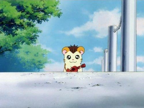 Hamtaro Season 1 Episode 10 - Jingle, the Wanderer