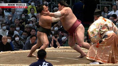 GRAND SUMO Highlights Season 16 Episode 14 - Day 14