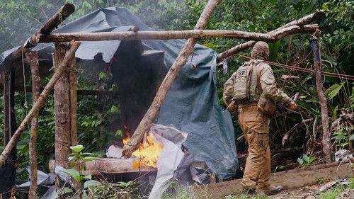 Border Control: Brazil Season 4 Episode 1 - Episode 1