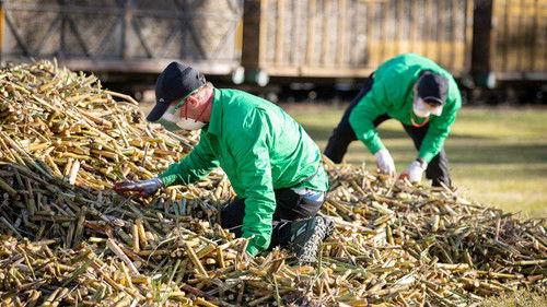 The Amazing Race Australia Season 5 Episode 1 - Leg 1