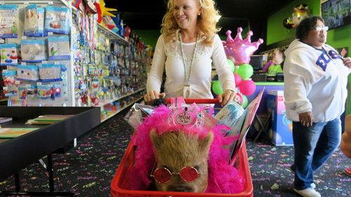 Background image for Birds and the Bees