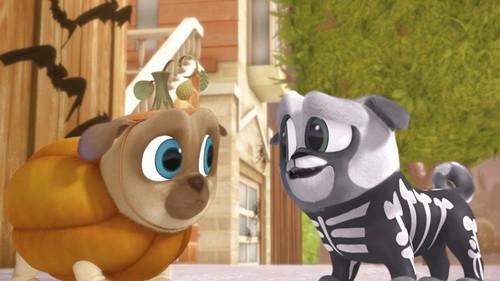 Puppy Dog Pals Season 1 Episode 33 - Return To The Pumpkin Patch