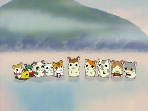 Hamtaro Season 1 Episode 23 - Maxwell's Big Scoop!