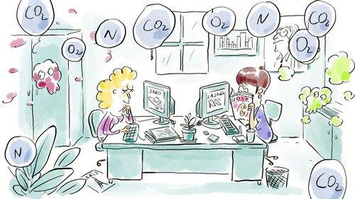 Tu mourras moins bête Season 2 Episode 4 - Episode 4