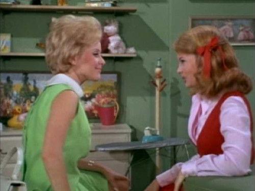 Family Affair Season 3 Episode 15 - A Family Group