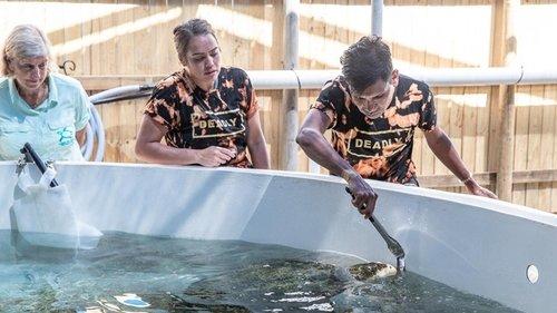 The Amazing Race Australia Season 5 Episode 6 - Leg 6