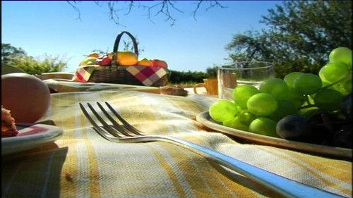 Minuscule: The Private Life of Insects Season 1 Episode 4 - Picnic