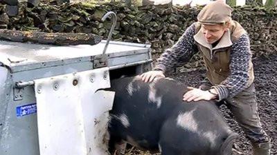 Background image for Episode 12