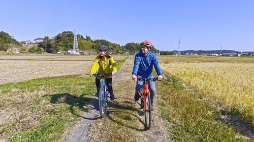 Background image for Isumi Shines as Liveable City