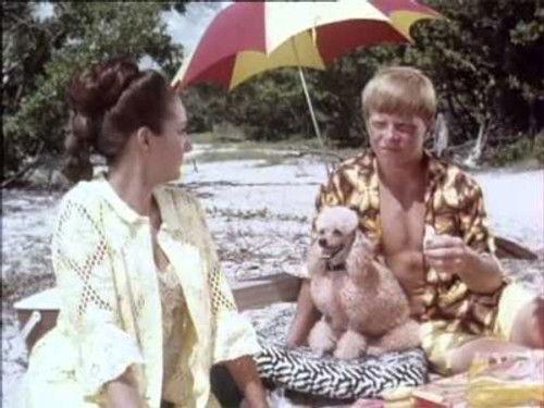 Flipper Season 3 Episode 19 - Aunt Martha