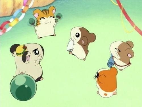 Hamtaro Season 1 Episode 14 - The Search for Sandy's Brother
