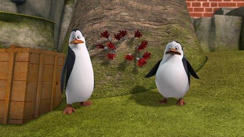 The Penguins of Madagascar Season 2 Episode 22 - Huffin and Puffin