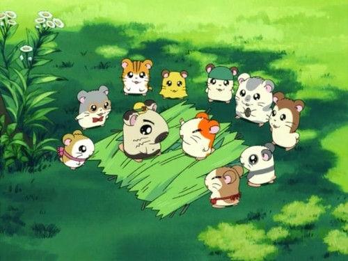 Hamtaro Season 1 Episode 3 - Calling all Ham-Hams!
