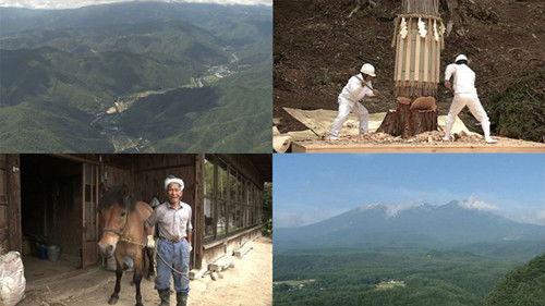 Seasoning the Seasons Season 2 Episode 20 - Kiso: The Forest of the Japanese Cypress