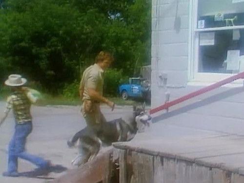 The Littlest Hobo Season 1 Episode 1 - Smoke