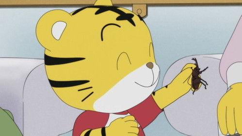 Shimajiro: A Wonderful Adventure Season 8 Episode 21 - Episode 21