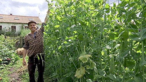 Frank & Kastaniegaarden Season 15 Episode 2 - Episode 2