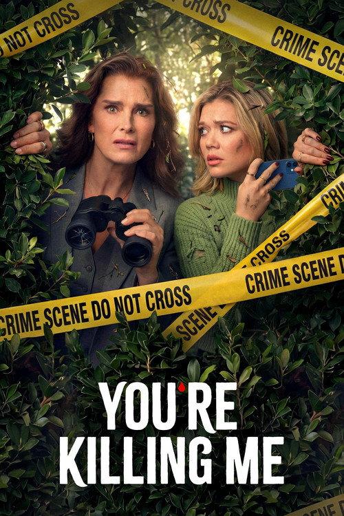 You're Killing Me poster