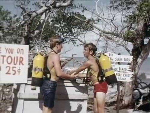 Flipper Season 3 Episode 10 - Executive Bud