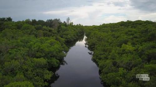 Dateline: Secrets Uncovered Season 15 Episode 5 - The End of the Affair