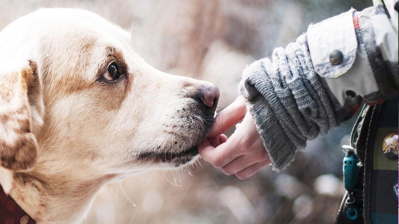 今生,请多指教 backdrop