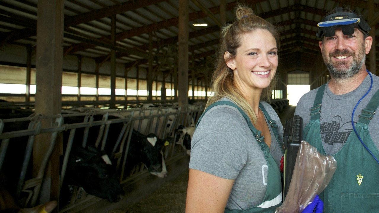 United Vets of America backdrop