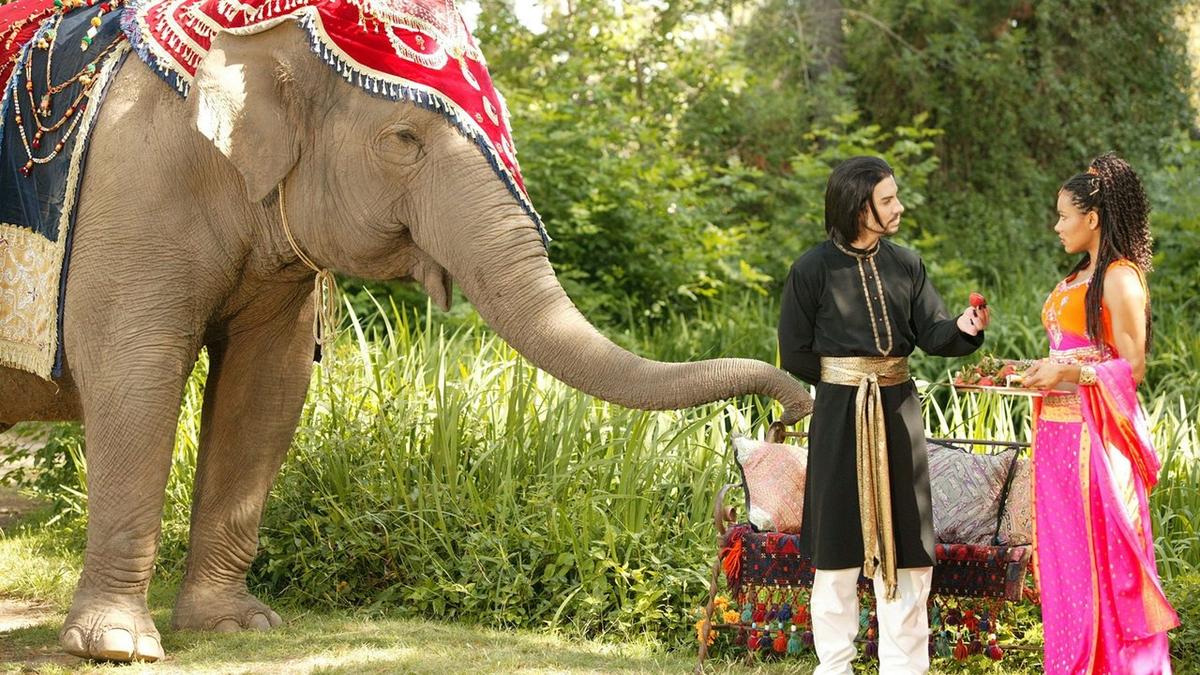 The Elephant Princess backdrop