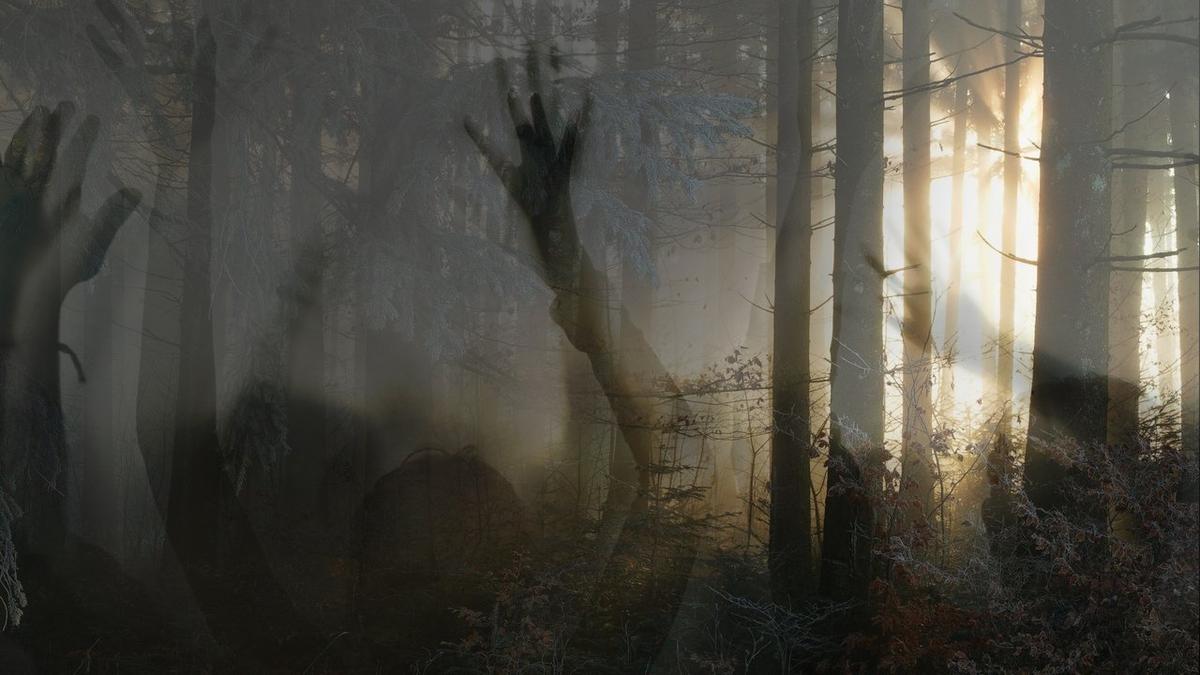 Paranormal Survivor backdrop