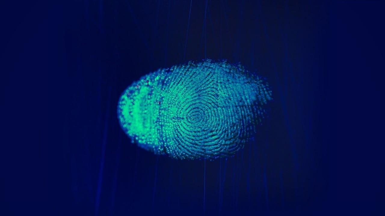 Forensic Factor: A New Era backdrop