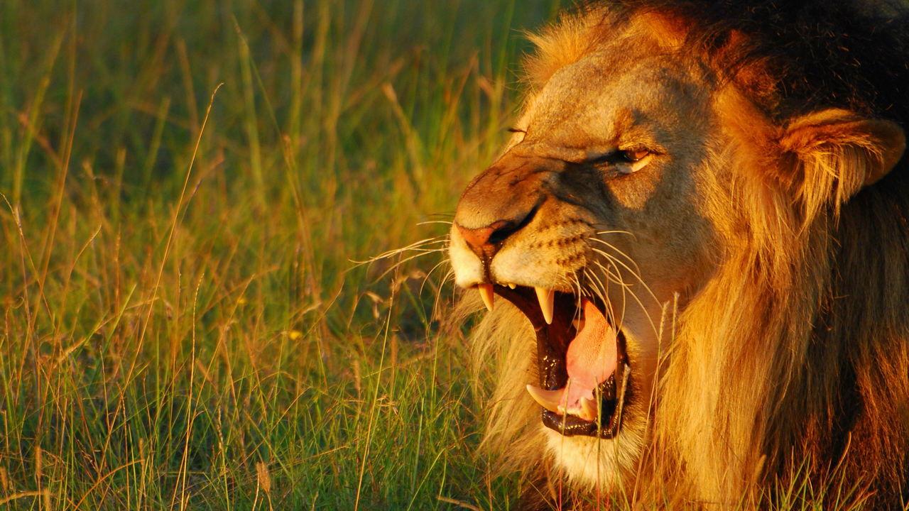 Secret World of Sound backdrop