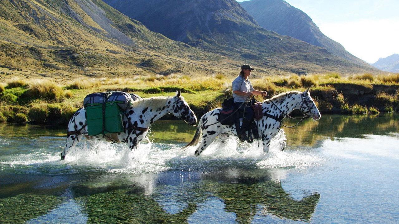 Country Calendar backdrop