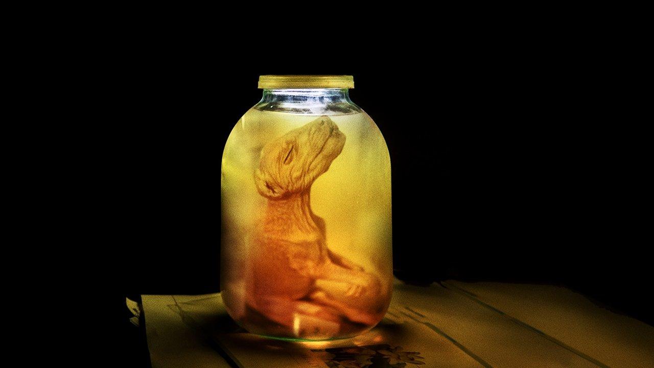 Stranger Than Nature backdrop