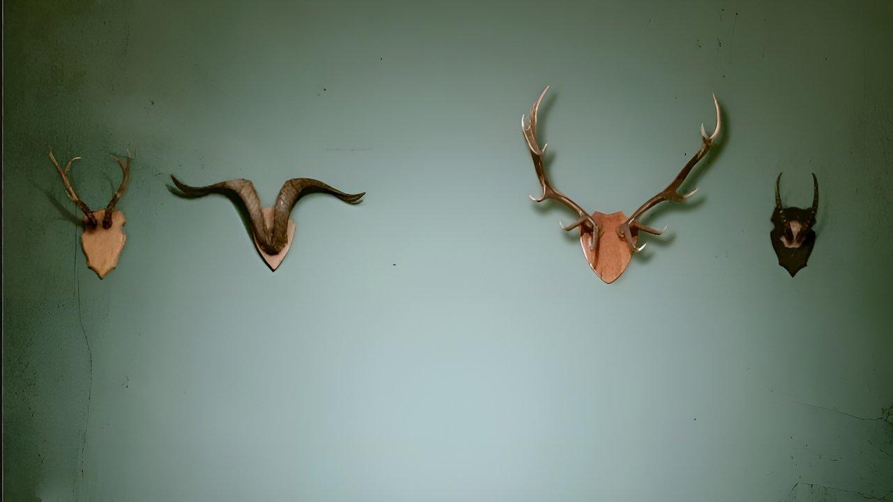 Infidelities backdrop