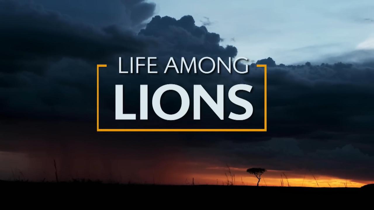 Life Among Lions backdrop
