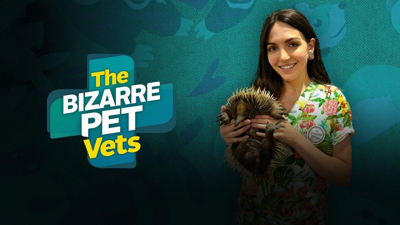 The Bizarre Pet Vets backdrop